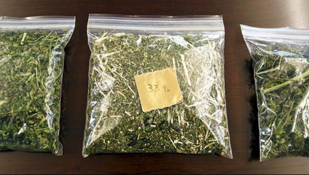 Samples of hemp sit on a table in the conference room at Andrew Ross' office in Denver on Friday, March 22, 2019. Ross, a Marine who served in Afghanistan and Iraq, is facing 18 years to life in Oklahoma if he is convicted after he was arrested in January while providing security for a load of state-certified hemp from Kentucky. Federal legalization for hemp has created a quandary for police as authorities lack the technology to distinguish marijuana from agricultural hemp at a roadside stop. (AP Photo/Thomas Peipert) packages of hemp