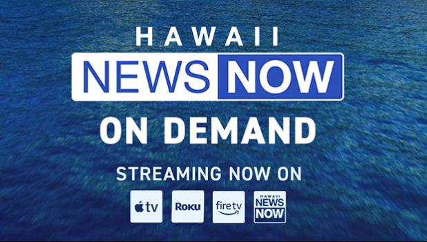 Police say the two allegedly held a teenage girl captive in their home and forced her to work as a servant. According to HNN, investigators report she was also repeatedly beaten. Hawaii News Now Livestream logo