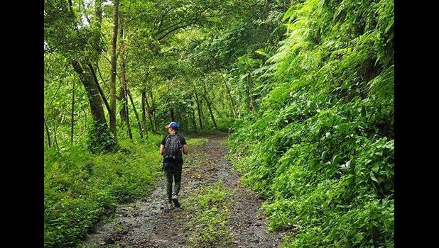 The track up Mt 'Alava. [Photo / Peter de Graaf[ The track up Mt 'Alava.