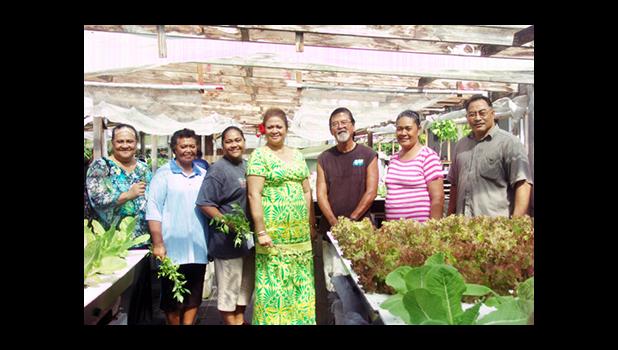 One of the activities of the ASCADSV Summer program - Agricultural Hydroponics was visits to hydroponics farms to see for participants to see for themselves the long term benefits of hydroponics as a form of gardening. The program focuses on Women Empowerment in Community Services.  [courtesy photo]