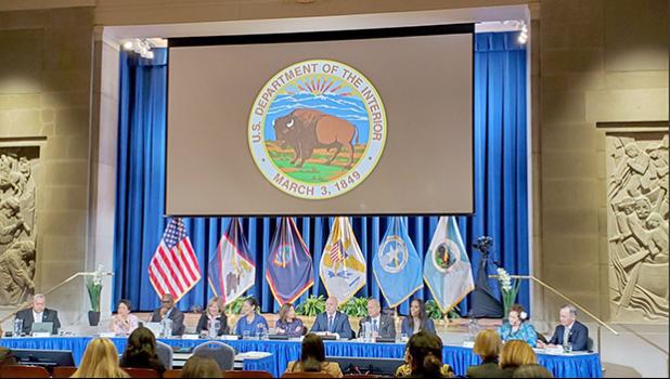 The IGIA Annual Meeting in session yesterday