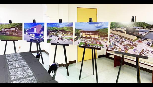 architectural designs of the proposed LBJ hospital additions,