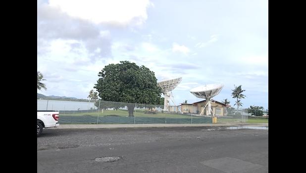 The only tree in that part of the park