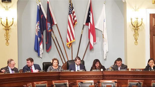 Congresswoman Amata in the Subcommittee on Indigenous Peoples