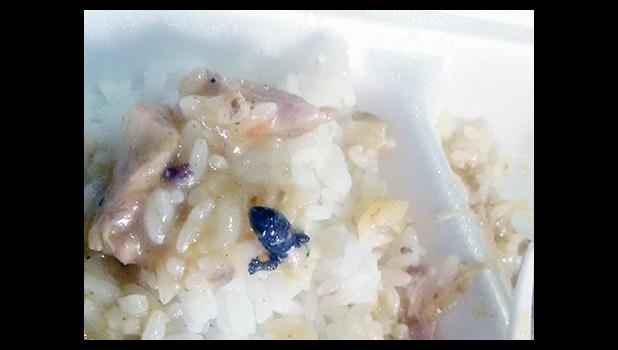 This Sept. 26 photo, taken on a cell phone by an ASCC student, shows what looks like the remains of a dead lizard in a plate of food the student claims was purchased from a fast food restaurant across from the college. DoH responded to the student’s complaint by conducting a health inspection of the restaurant’s premises, yesterday.  [courtesy photo]