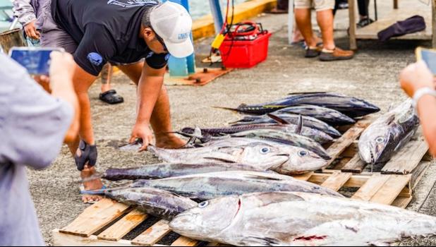 lots of tuna
