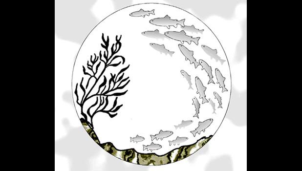 Magnunson Sevens Act logo