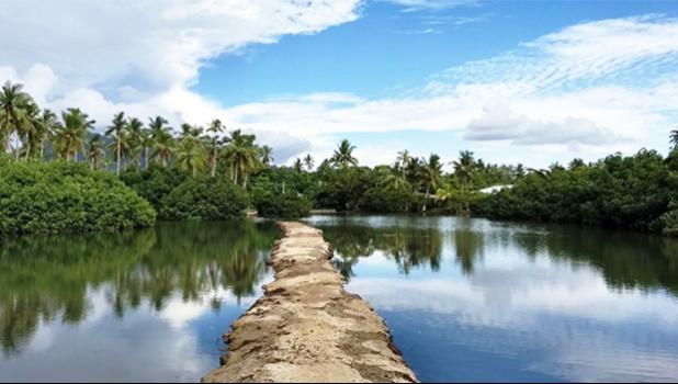 The mangrove areas in the village of Moata’a. The village council is pursuing funding to further protect the mangroves.  [photo: Lagipoiva Cherelle Jackson]