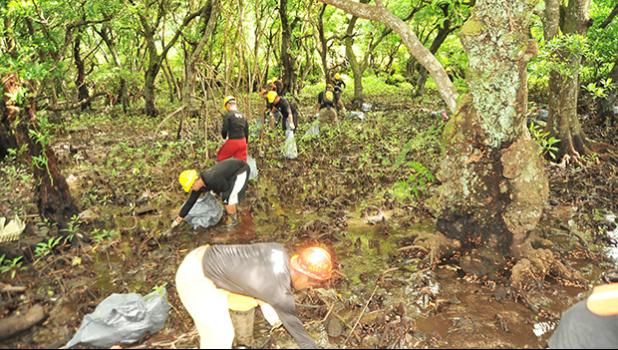An easy, everyday action people can take to protect mangroves is to place litter/rubbish in covered trashcans and dumpsters so it doesn’t get washed down streams into mangrove wetlands. Also, keep on the lookout for people filling in mangroves with dirt or rubbish and report the crime to the Department of Commerce.   [Photo: NPAS]