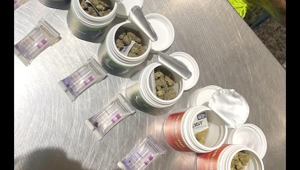 MARIJUANA AND PARAPHERNALIA