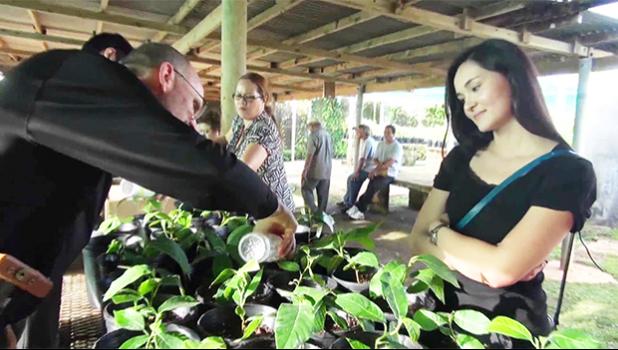 Northern Mariana Island Governor Eloy S. Inos launches the Micronesia Breadfruit Initiative in May 2014. The Micronesia Breadfruit Initiative (2014–16) is a project of the Commonwealth of the Northern Mariana Islands (CNMI) Saipan, representing the Governments of Guam, Palau, the Republic of the Marshall Islands, and the Federated States of Micronesia. In partnership with University of Hawai’i Pacific Business Center Program. [photo from Youtube]