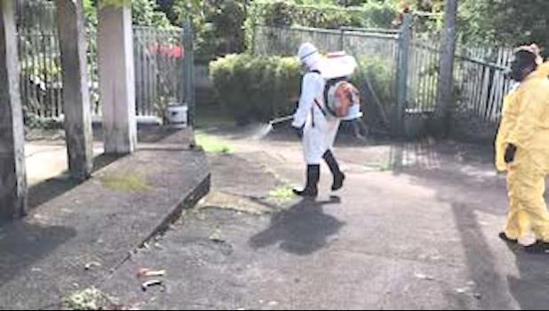 SPRAYING TO PREVENT DENGUE FEVER