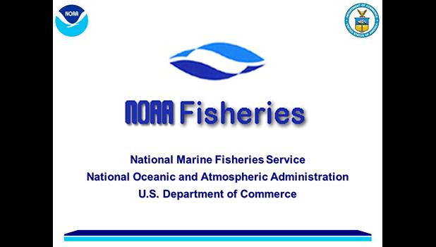 May 26th was the deadline — after it was extended at least three times since early this year — for public comments. It’s unclear when NMFS will issue a final decision on the proposed rule, which is clearly being opposed by the US Pacific territories. All comments including more details on the proposed rule on federal portal (www.regulations.gov). Nat'l Marine Fisheries Service