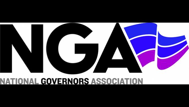 NGA remains dedicated to supporting American Samoa's team throughout the project, facilitating robust collaboration, and providing resources to achieve project goals effectively. NGA logo