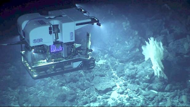 NOAA’s 2026 work n the region has included multibeam seafloor mapping, remotely operated vehicle exploration, geological observations and environmental data collection, including the examination of areas containing polymetallic nodules. NOAA ROV