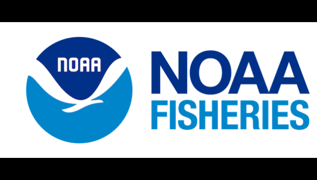 The bill directs NOAA Fisheries and the National Institute of Standards and Technology (NIST) to jointly develop a standard methodology for country-of-origin testing. NOAA FISHERIES LOGO