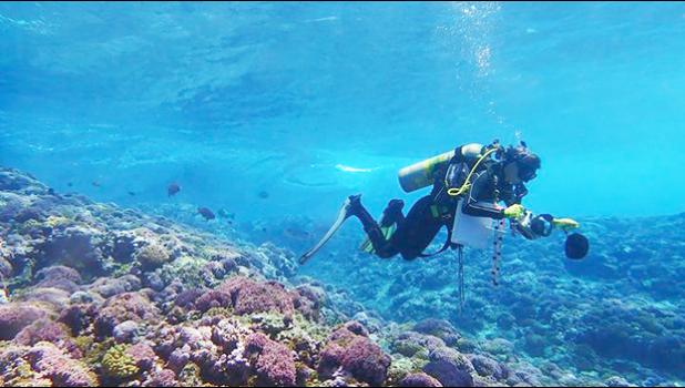 NOAA scientist off Swains Island