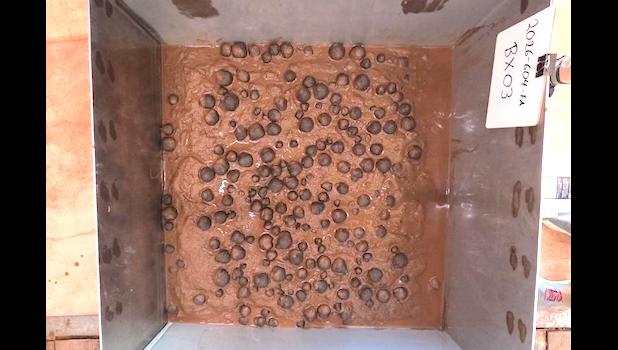 Polymetallic nodules
