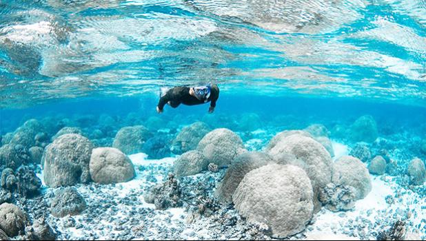 Bert fuiava snorkels in the shall Ofu pools.