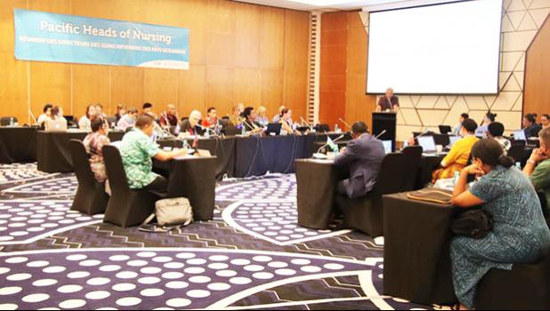 Delegates at the Pacific Heads of Nursing meeting