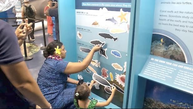 Tauese P. F. Sunia Ocean Center reopens
