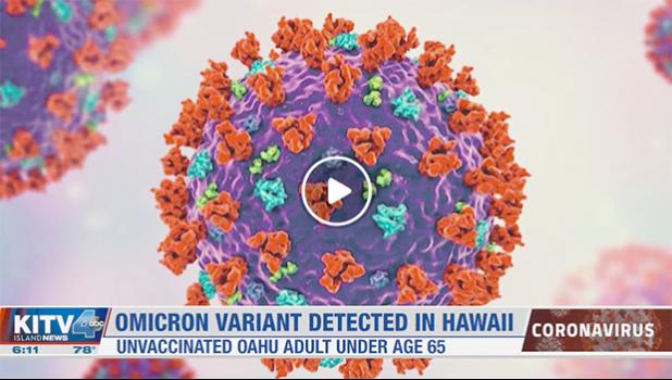 The coronavirus Omicron variant image