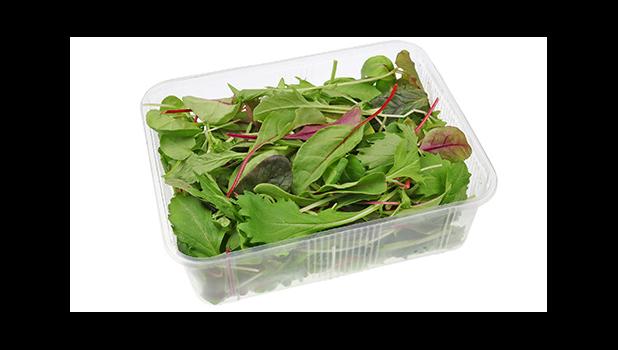 packaged salad