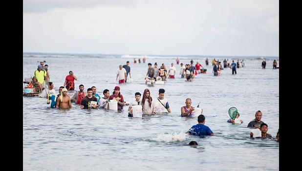 Palolo hunters in Samoa