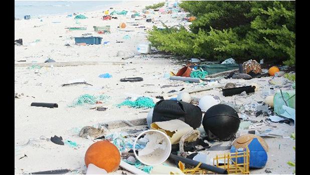  The uninhabited Henderson Island in the South Pacific [Photo: Jennifer Lavers]