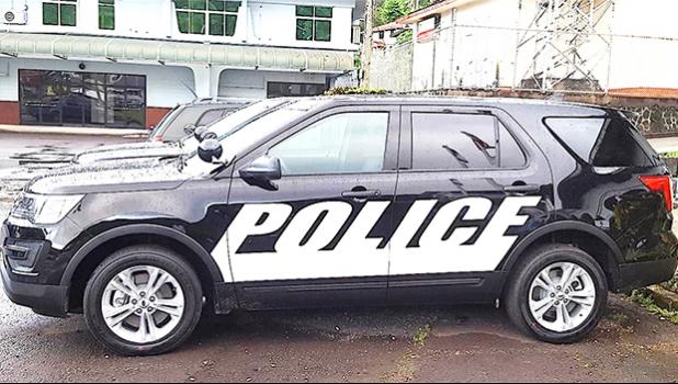 One of the new Ford 'Interceptors' reently purchased for DPS. [SN file photo]