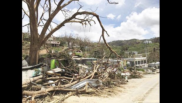 This undated photo provided by Hector Alejandro Santiago shows his farm in Barranquitas, Puerto Rico, destroyed by September 2017’s Hurricane Maria. For 21 years Santiago raised poinsettias, orchids and other ornamental plants which were sold to major retailers including Costco, Walmart and Home Depot. In a matter of hours Maria wiped it away. (Héctor Alejandro Santiago via AP) 