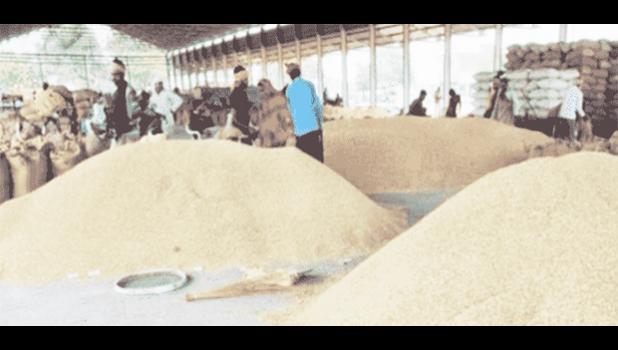 India exports over 40% of rice the rice to the world rice in India