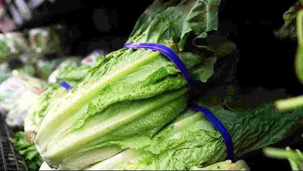 The Centers for Disease Control is warning consumers about romaine lettuce grown in Yuma, Aris, saying it may cause illness due to E. coli bacteria. Dozens of people from nearly 20 states have recently been sickened by the bacteria. (April 26) AP The Centers for Disease Control is warning consumers about romaine lettuce grown in Yuma, Aris, saying it may cause illness due to E. coli bacteria. Dozens of people from nearly 20 states have recently been sickened by the bacteria. (April 26) AP
