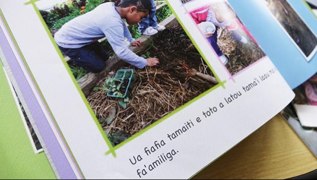  Samoan language picture book created by A'oga Fa'asamoa. [Photo: RNZI] 