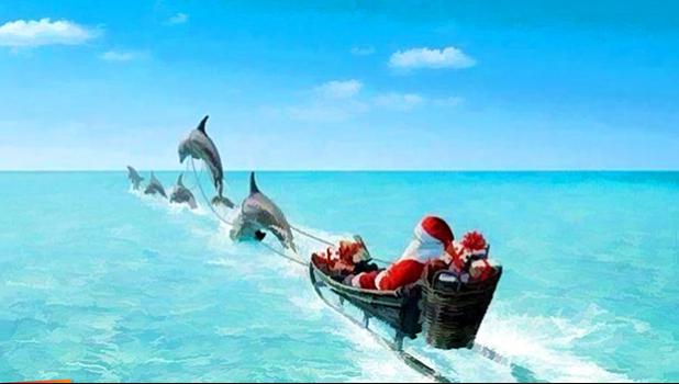 Santa and his dolphin crew