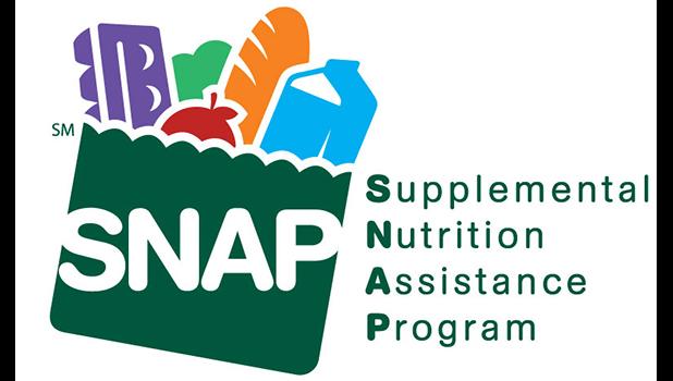 SNAP LOGO