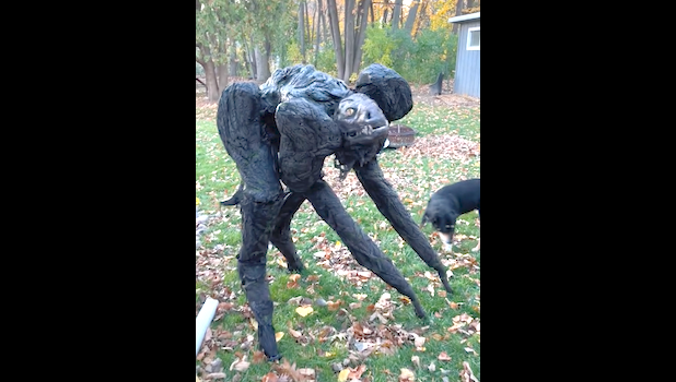 SPIRIT WALKER