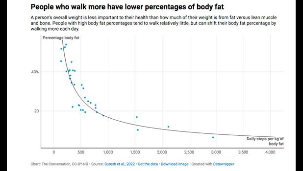 steps and weight loss graphic