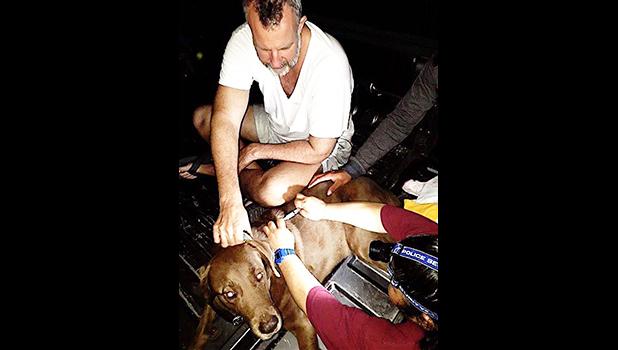 Jersey receiving emergency surgery