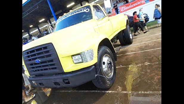 "BumbleBee" 