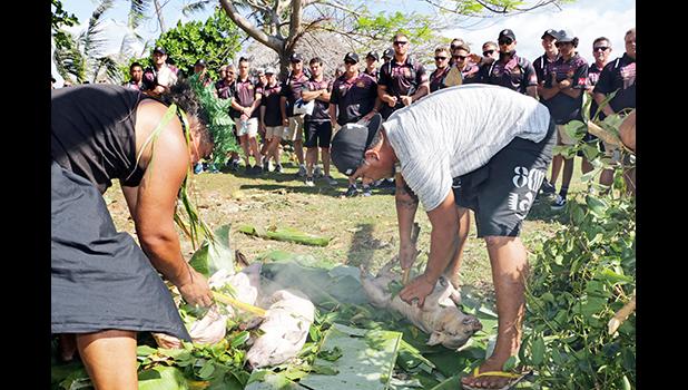 Pigs in the umu