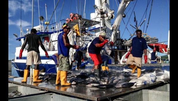 Unloading yellowfin from a longliner  in Tonga
