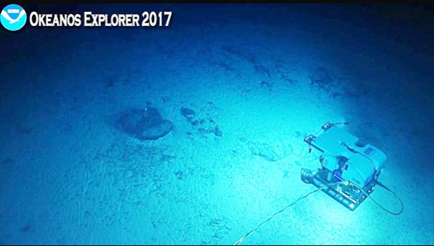 Okeanos on the seafloor exploring crater of deep, previously unexplored "Utu" seamount in American Samoan waters. [photo: NOAA]