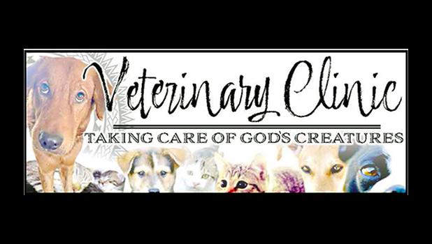 VET BANNER