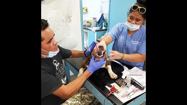 Local volunteer Sai holds a patient's mouth open