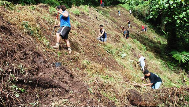 In this Samoa News file photo, National Park crew works on reforestation on the Mt. Alava Trail. [SN file photo]