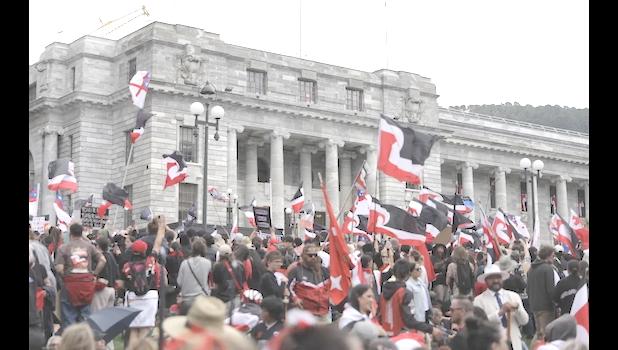  The hīkoi protesting against the Treaty Principles Bill in Wellington 