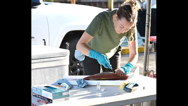 scientist collects biological samples