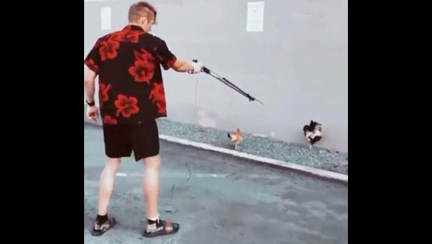 Artyon Zhiryada, 20, was seen shooting a chicken 