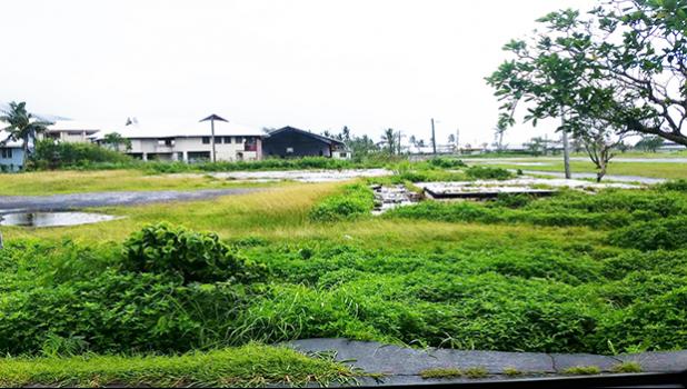 Pictured is the exact location where the proposed youth center will be built.  [photo: Blue Chen-Fruean]